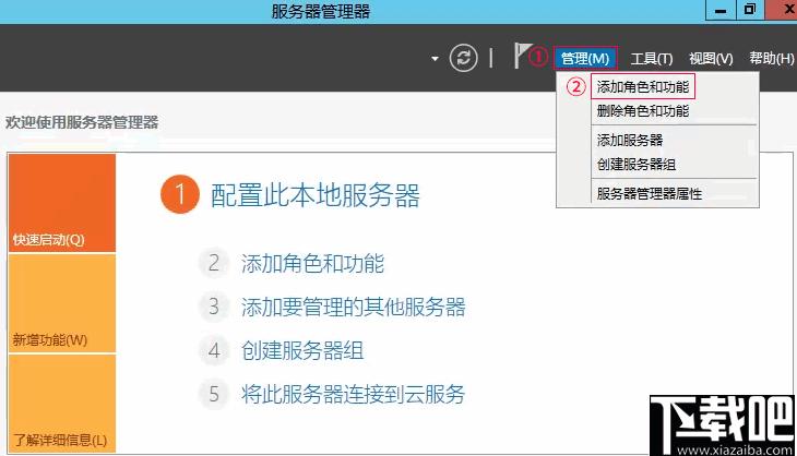 蒲公英服务器端下载,内网搭建,局域网,网络共享