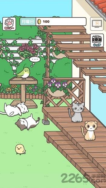 成为被饲养的猫正版游戏下载,成为被饲养的猫,猫咪游戏,养成游戏