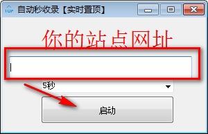 自动秒收录,收录.